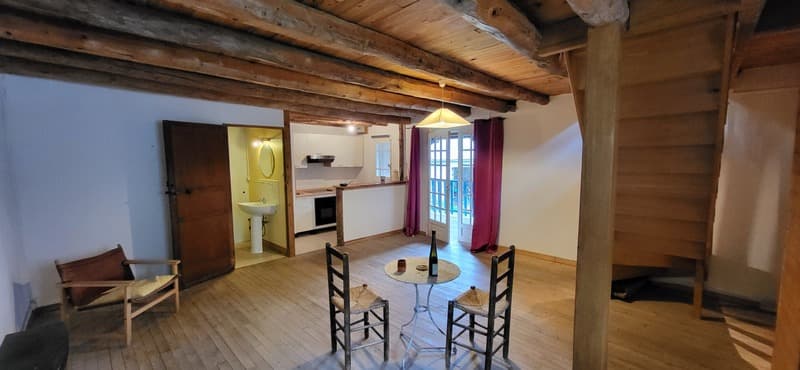 Proprietà in vendita 10 camere VIELLE LOURON (65) (11)