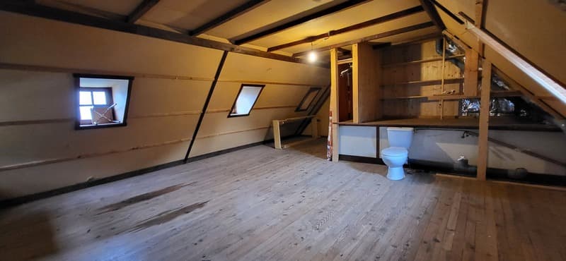 Proprietà in vendita 10 camere VIELLE LOURON (65) (7)