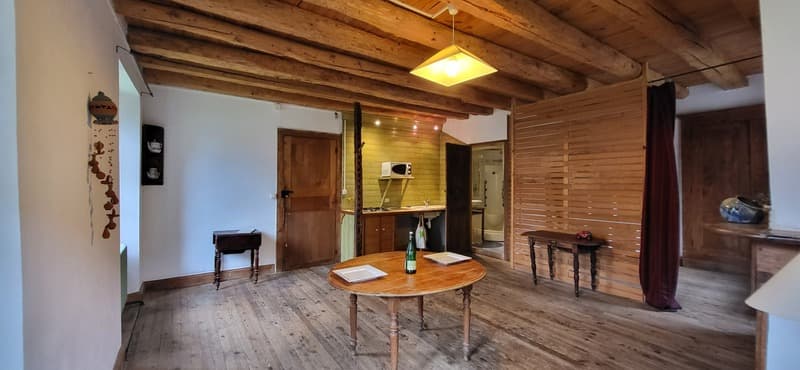 Proprietà in vendita 10 camere VIELLE LOURON (65) (10)