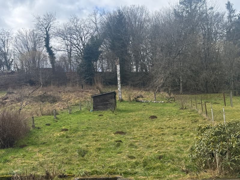 Maison à vendre à Breux (Meuse) - Proche Belgique et Luxembourg - (12)
