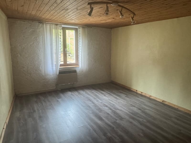 Maison à vendre à Breux (Meuse) - Proche Belgique et Luxembourg - (8)