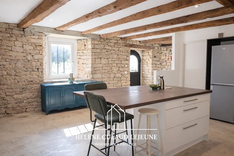 Renovated Longhouse - 165 m² - Elven (5)