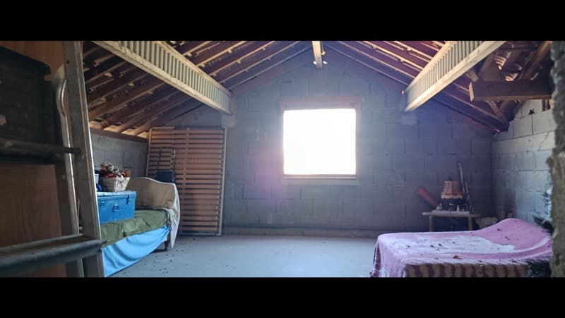 A real estate complex, full of opportunities! (12)