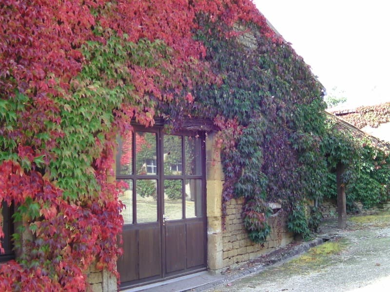 Chateau de Petit-xivry 1700 (4)