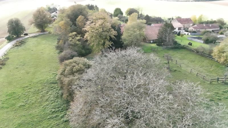 Chateau de Petit-xivry 1700 (10)