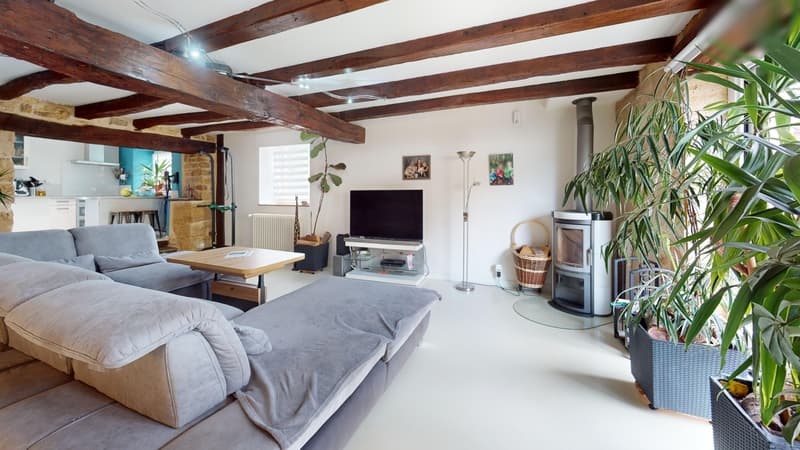 Renovated old farmhouse with pool, barn and studio (5)