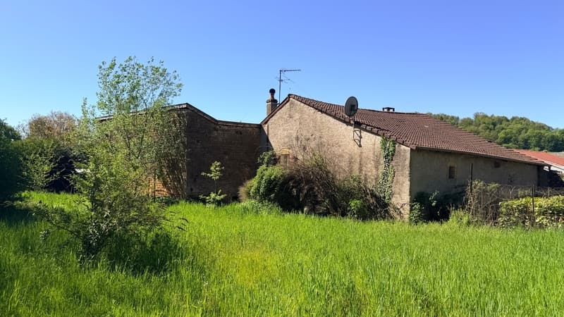 Beautiful house in Villecloye with 3 bedrooms, barn, workshop, garage and beautiful surroundings (9)