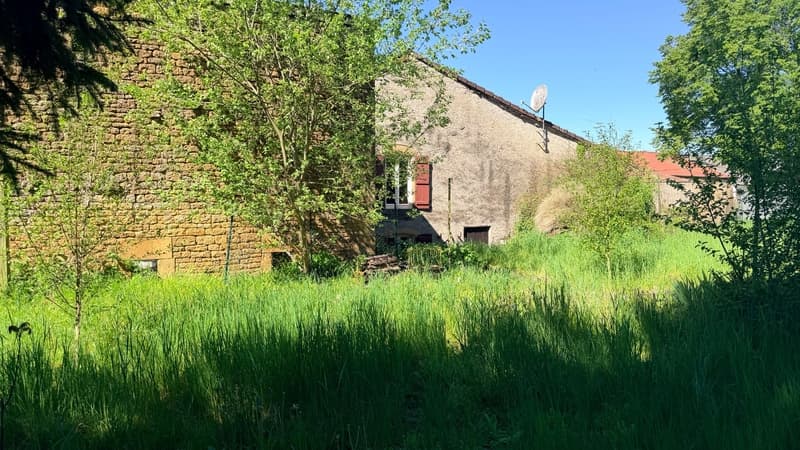 Beautiful house in Villecloye with 3 bedrooms, barn, workshop, garage and beautiful surroundings (2)