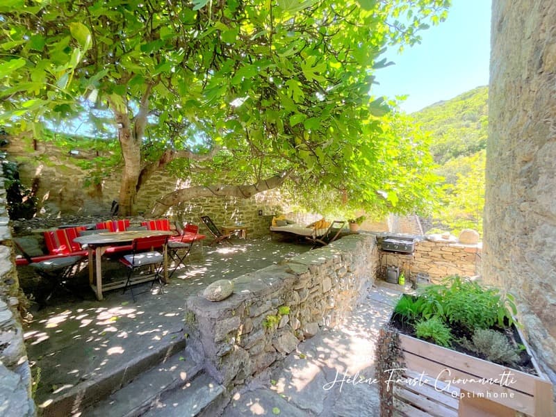 Old Stone Mill with outbuildings on nearly 2.3 hectares - (8)