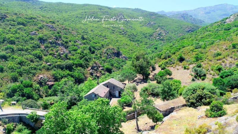 Old Stone Mill with outbuildings on nearly 2.3 hectares - (11)