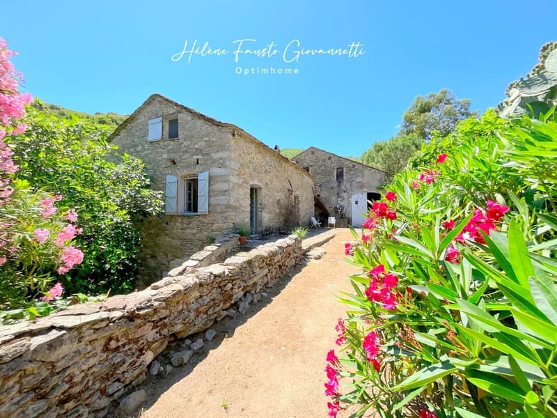 Old Stone Mill with outbuildings on nearly 2.3 hectares - (5)