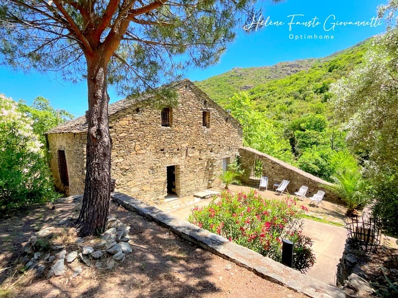 Old Stone Mill with outbuildings on nearly 2.3 hectares - (4)