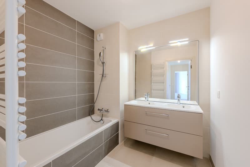 Appartement à vendre 4 pièces ARCHAMPS (74) (5)