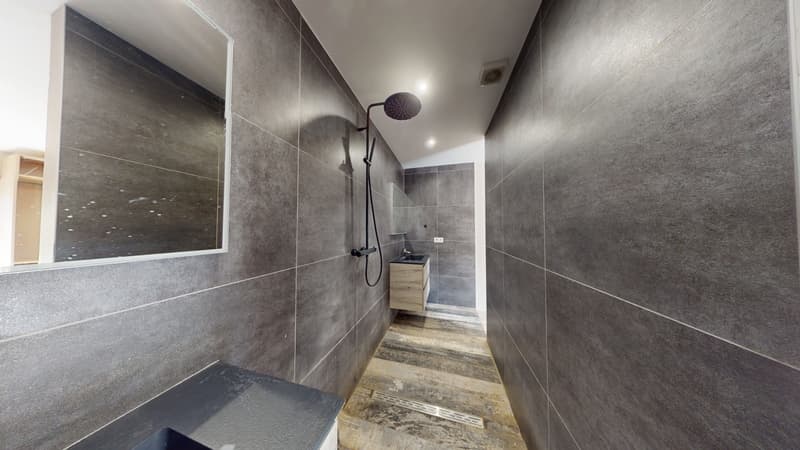 House for sale with 5 rooms in BAZEILLES SUR OTHAIN (55) (6)