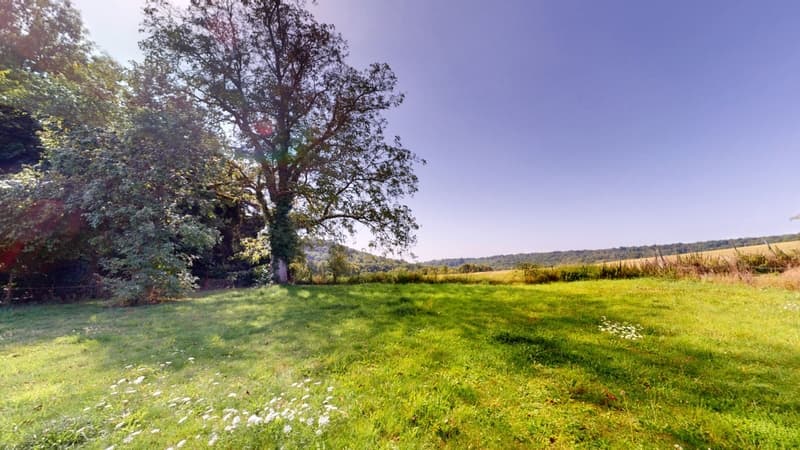 House for sale with 5 rooms in BAZEILLES SUR OTHAIN (55) (8)