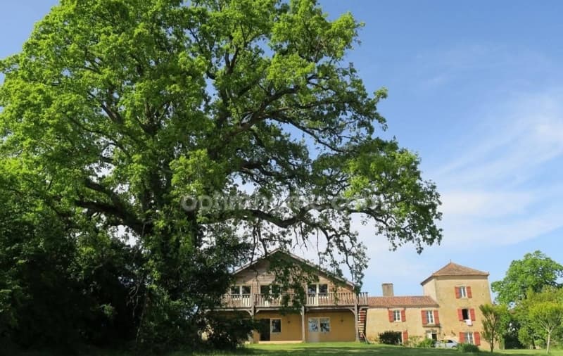 Un Domaine sur la Colline (4)