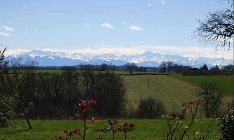 Un Domaine sur la Colline (6)