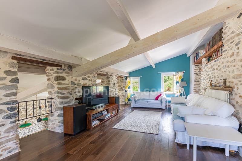 Authentic character property with independent gite for sale (6)