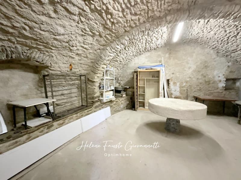 Appartement 3 pièces avec jardin privatif, terrasse vue montagne et (7)