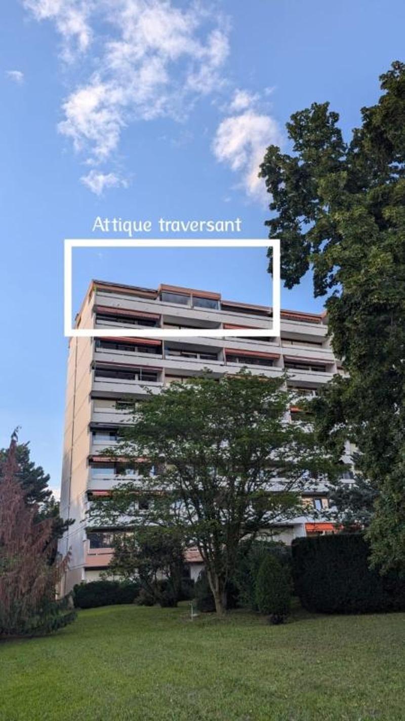 Attique traversant - Vue panoramique Mont-Blanc & Jura - 101 m² - (13)