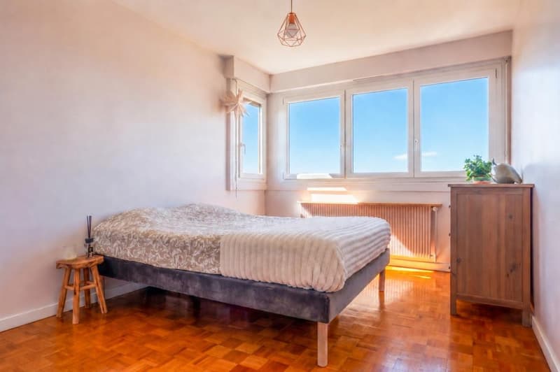 Attique traversant - Vue panoramique Mont-Blanc & Jura - 101 m² - (7)