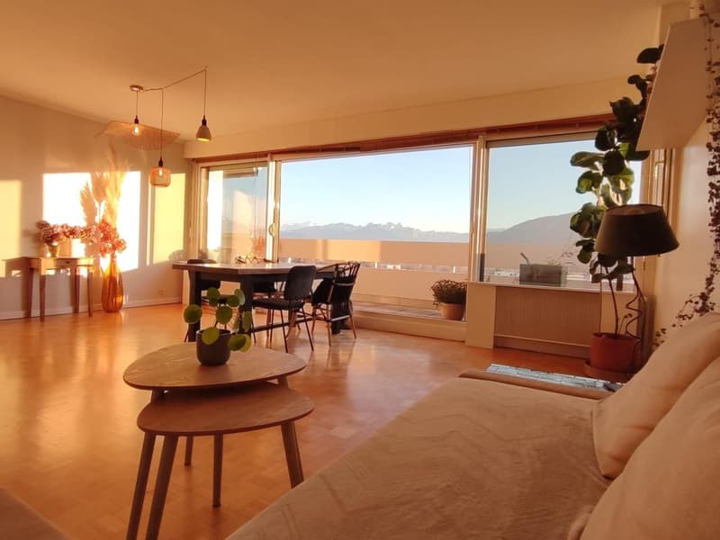 Attique traversant - Vue panoramique Mont-Blanc & Jura - 101 m² - (12)