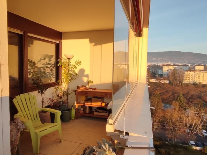 Attique traversant - Vue panoramique Mont-Blanc & Jura - 101 m² - (9)