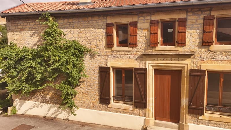 Maison de caractère entièrement rénovée à neuf à vendre SAINT JEAN LES (10)
