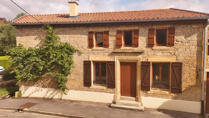Maison de caractère entièrement rénovée à neuf à vendre SAINT JEAN LES (2)