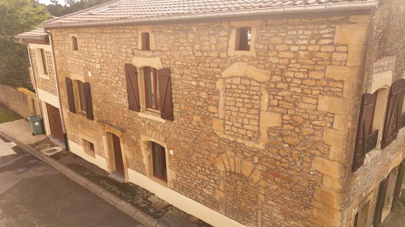 Maison de caractère entièrement rénovée à neuf à vendre SAINT JEAN LES (12)