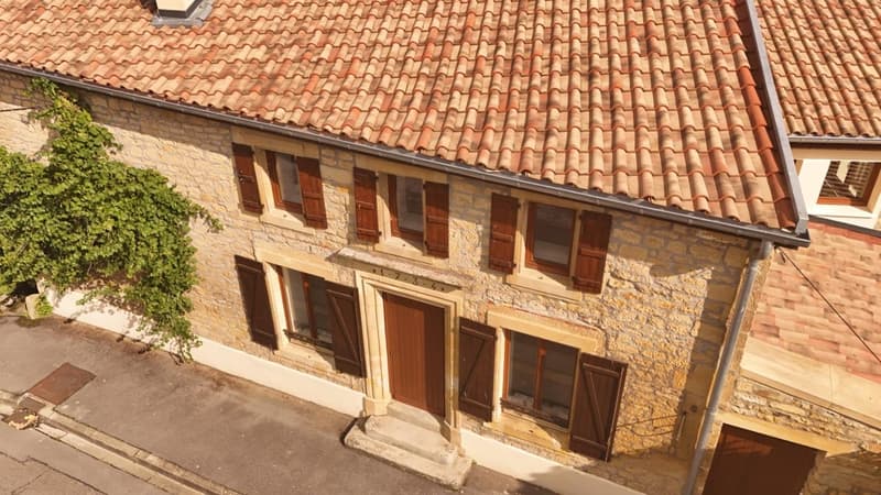Maison de caractère entièrement rénovée à neuf à vendre SAINT JEAN LES (3)
