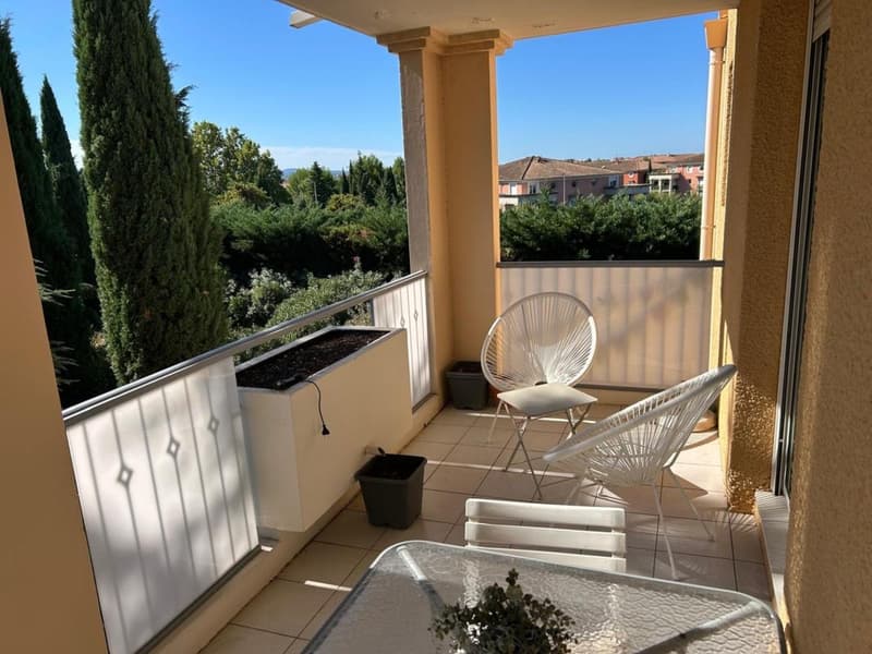 Studio meublé tout équipé avec grande terrasse (3)