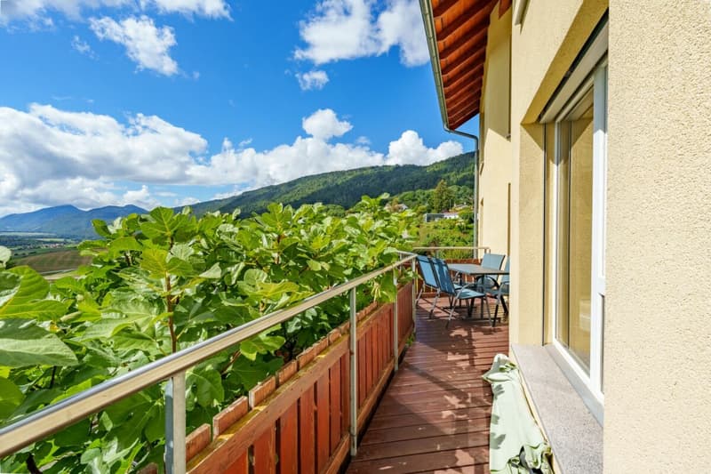 Magnifica villa di architetto di 7,5 locali a 7 minuti da Grandson (13)