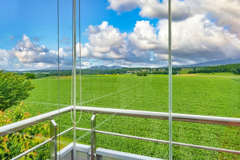 Apartment with 4.5 rooms ideally located (7)