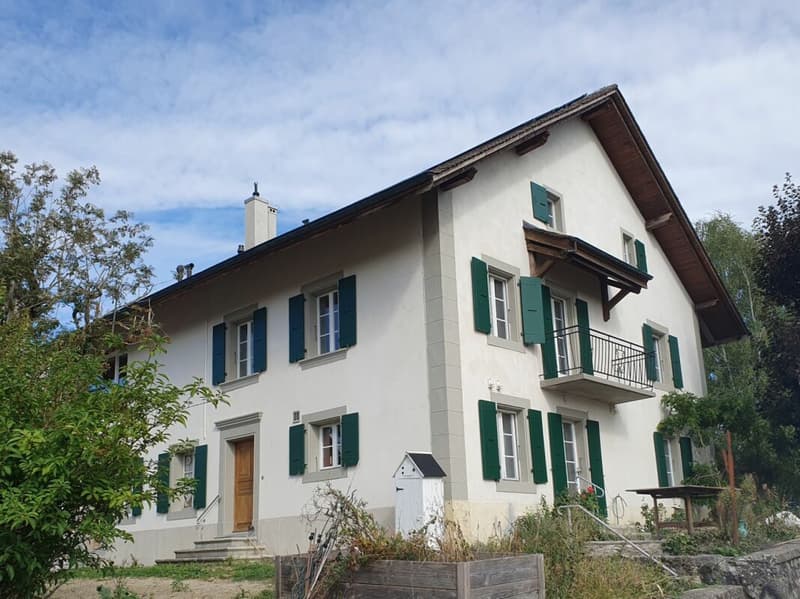 Maisonnette à louer (9)