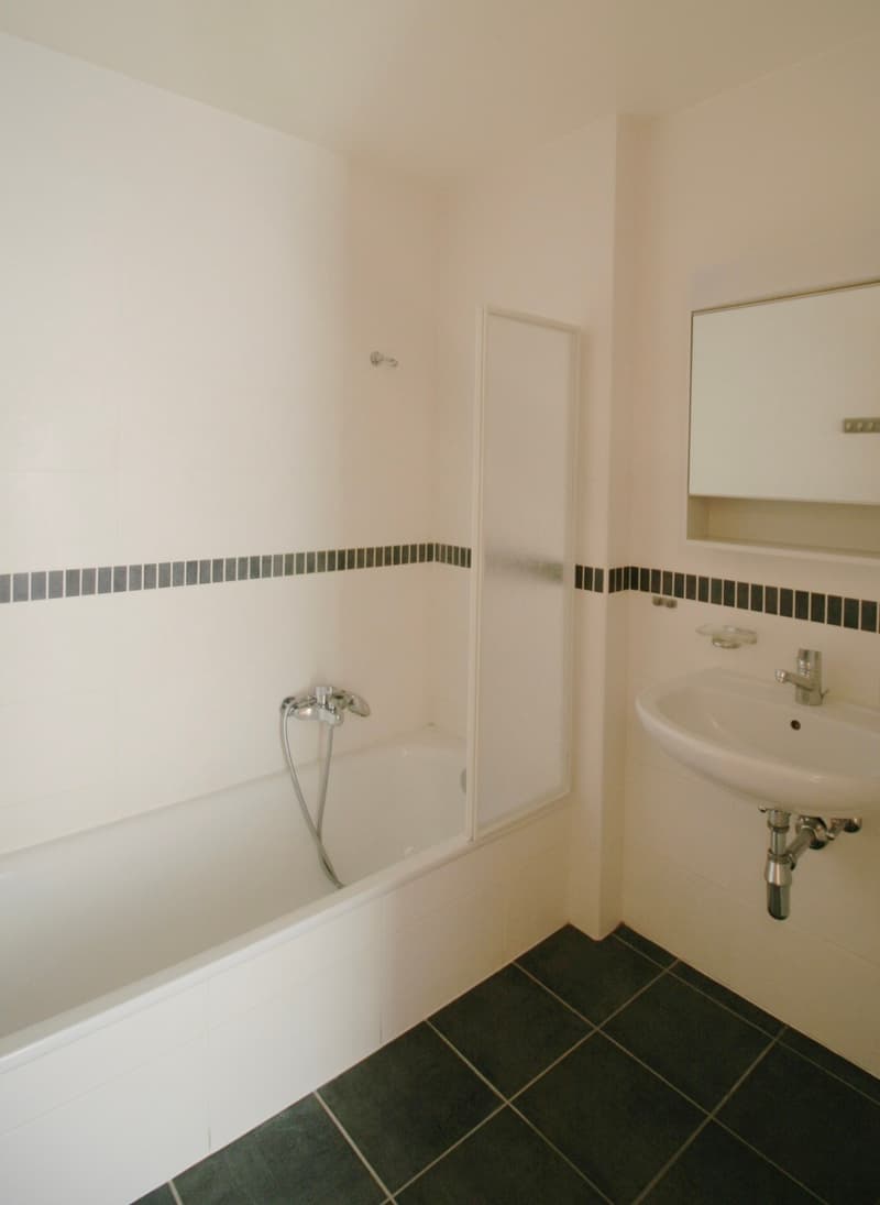 Renovated apartment! (7)