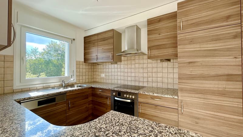 Renovated apartment! (6)