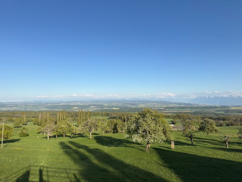 The charm of a farm, the comfort of new! (2)