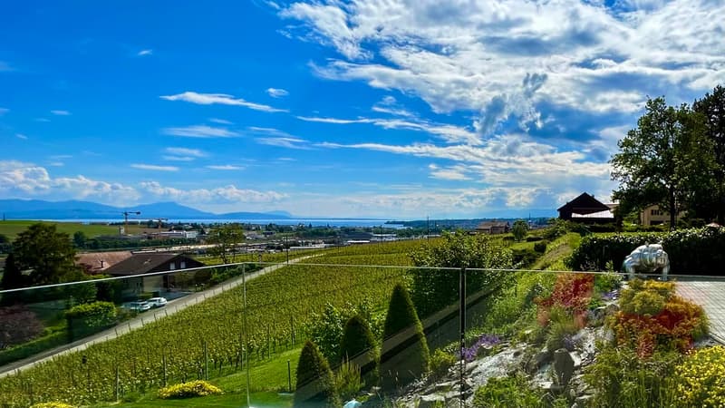 Villa Panoramique à 360 ! (1)