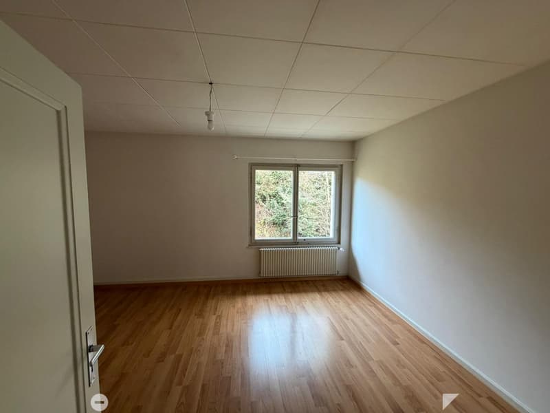 Mietshaus mit großem Entwicklungspotenzial in Châtel-Saint-Denis (6)