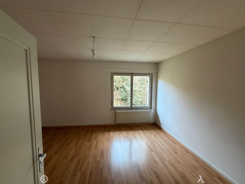 Mietshaus mit großem Entwicklungspotenzial in Châtel-Saint-Denis (6)