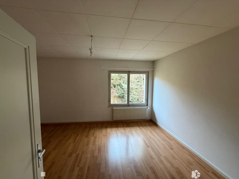 Mietshaus mit großem Entwicklungspotenzial in Châtel-Saint-Denis (6)