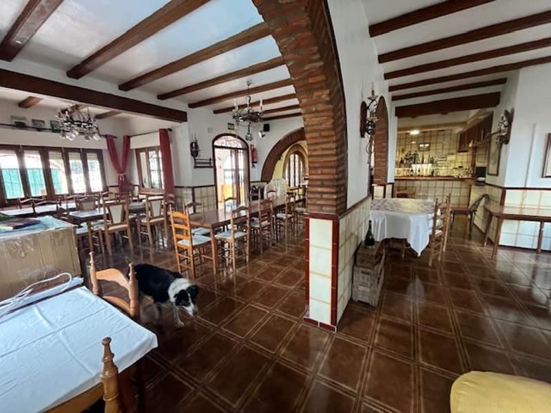 Restaurant and family house + independent apartment - Tree-lined garden with pool and summer kitchen, barbecue (4)