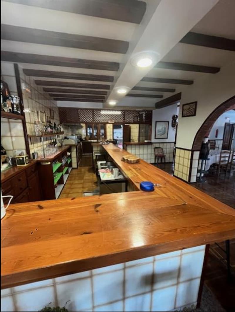 Restaurant and family house + independent apartment - Tree-lined garden with pool and summer kitchen, barbecue (3)