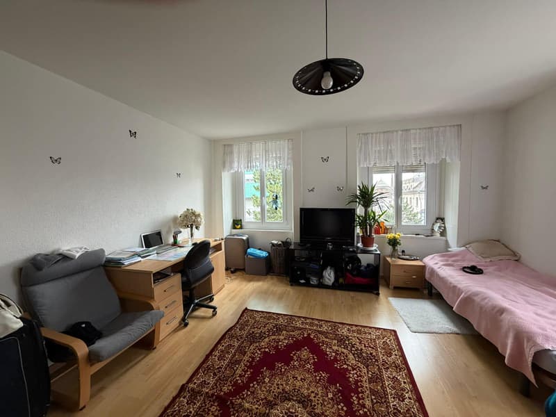 Lot d'un Immeuble de rendement avec deux parcelles de terrain constructibles au Locle(NE) (5)