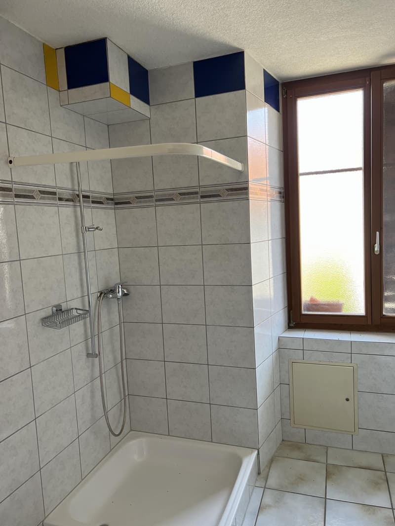Immeuble de Rendement à Courgenay(JU) (7)