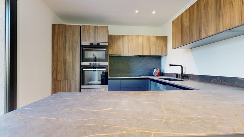 Detached house with 5 bedrooms and two garages (10)