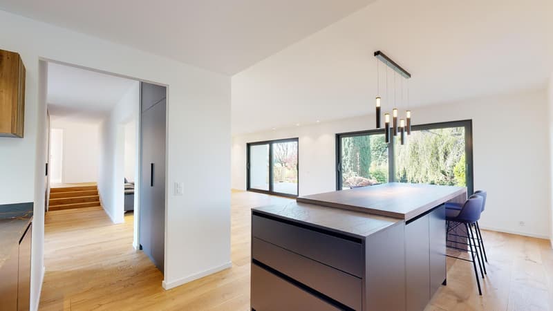 Detached house with 5 bedrooms and two garages (4)