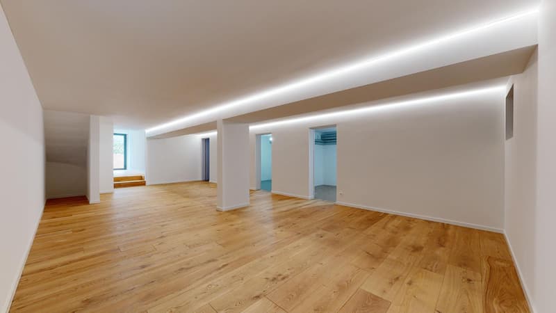 Detached house with 5 bedrooms and two garages (8)