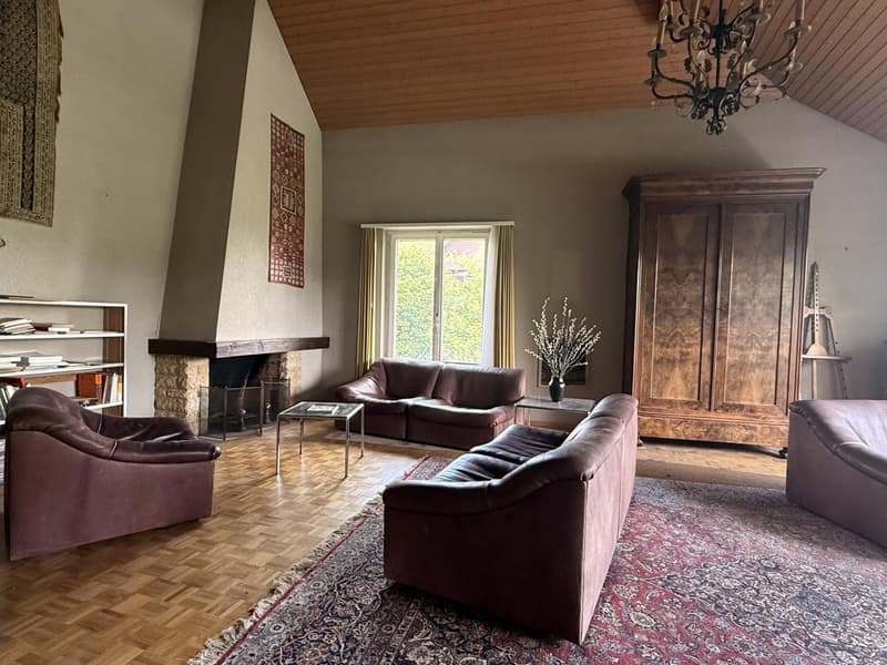 Architect's villa with heated pool, Kirchlindach, 10 minutes from Bern EXCLUSIVELY (5)
